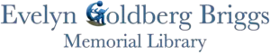 Evelyn Goldberg Briggs Memorial Library in Iron River, WI
